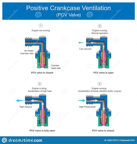 Positive Crankcase Ventilation Pcv Valve Stock Vector Illustration