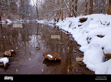 Winter Stream Near Nashville Tennessee Usa Stock Photo Alamy