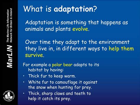 Ppt What Is Adaptation Powerpoint Presentation Free Download Id