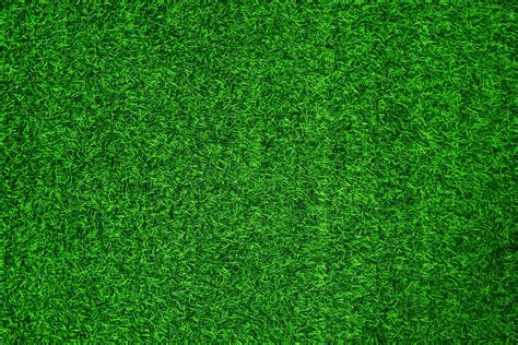 Green Grass Texture Background Grass Garden Concept Used For Making Green Background Football