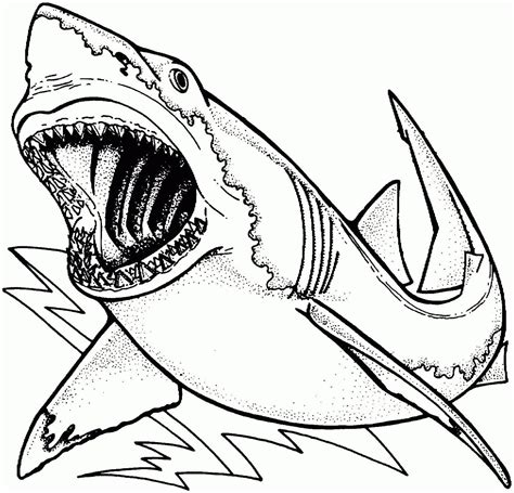 Tiburón Martillo Sonriente para colorear imprimir e dibujar Dibujos