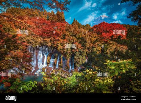Shiraito Falls With Mt Fuji And Colorful Autumn Leaf In Fujinomiya