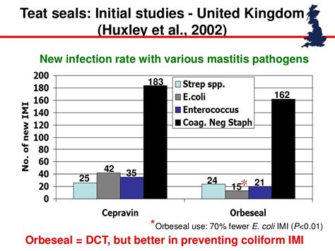 Proper Dry Off Procedures To Prevent New Infections And Cure Existing