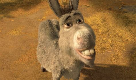 Donkey Shrek Meme