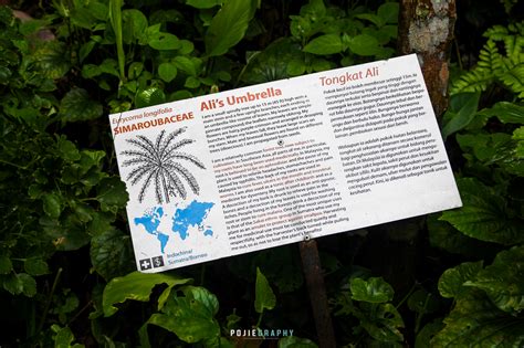 Contoh objektif kajian sejarah rempah ratus. Pelajari Sejarah Berbagai Jenis Rempah Ratus di Tropical ...