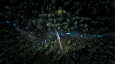 1920x1080 Aerial View Forest 4k Laptop Full Hd 1080p Hd 4k Wallpapers