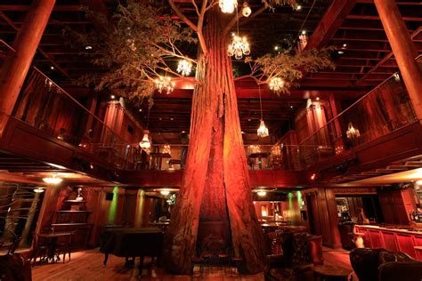 We have what your walls need! Astek Drunk Monkeys Wallpaper