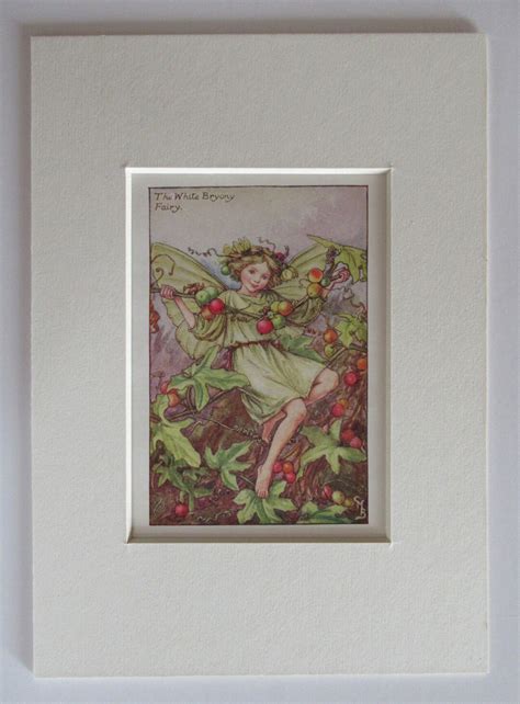 Flower Fairiesfairy The White Bryony Fairy Vintage Print 1930s40