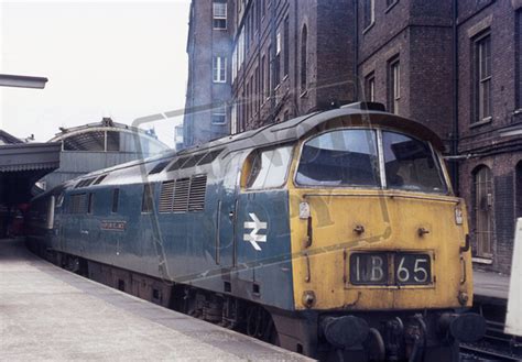 Rail Online Class 52 Western D1068 1975 Paddington