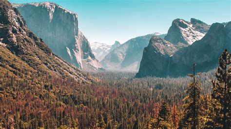 2560x1440 Forest Mountain Yosemite Valley 5k 1440p Resolution Hd 4k