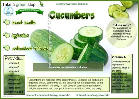 Do You Eat Cucumbers They Are Very Step In2 My Green World