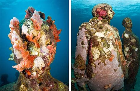 A Look At Cancuns Amazing Underwater Coral Friendly Sculpture Park
