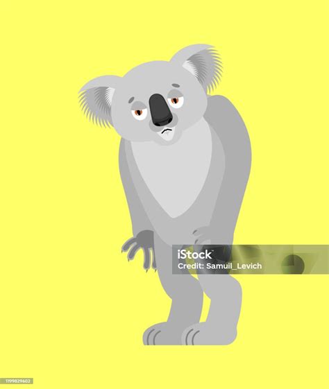Koala Sad Koala Bear Sorrowful Beast Dull Vector Illustration Stock