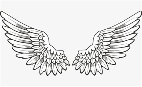 Hand Painted Angel Wings Asas Desenho Tatuagem Asas De Anjo E Asas