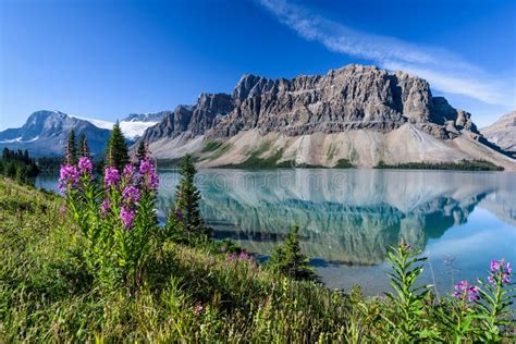 Bow Lake Banff National Park Alberta Canada Stock Image Image Of