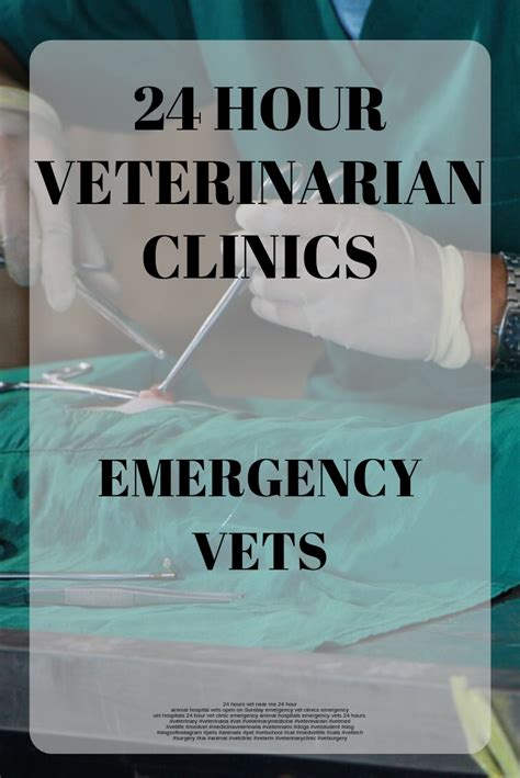 If your veterinary hospital is willing to accept payment from healthy paws. Emergency Pet Hospital Near Me - Animal Friends