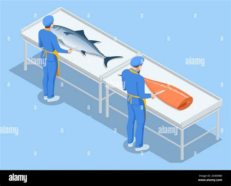 Isometric Fish Industry Seafood Production Sorting Fish Concept