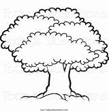 Tree Canopy Clipart Lush Mature Perera Lal sketch template