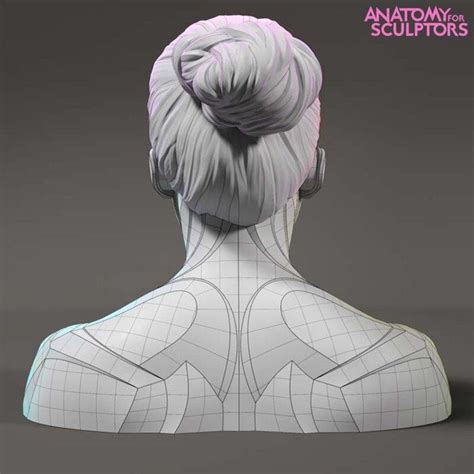 Artstation Young Woman Model Anatomy For Sculptors Anatomy