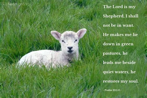 Psalm 231 3 — Verse Of The Day For 03174022