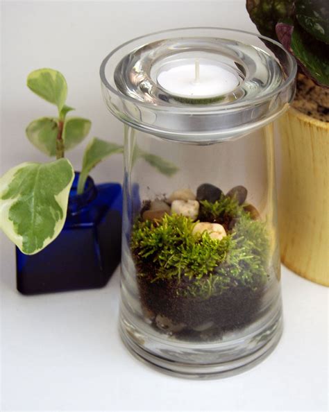 It doesn't take any room, and is extremely easy to maintain. Tea Light Moss Terrarium Kit DIY | Terrário, Terrario em vidro