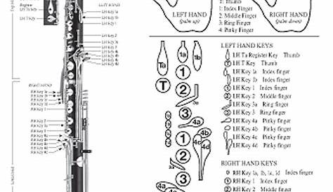 Clarinet Finger Chart Pdf