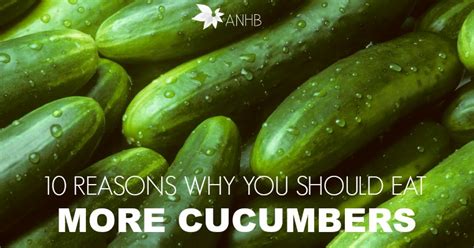10 reasons why you should eat more cucumbers updated for 2018