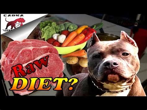 Just copy the code below: Raw Dog Food Diet for Pitbulls and Bullys ( How to get ...