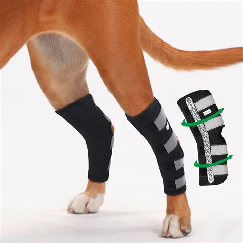 In Hand Dog Rear Leg Hock Brace Pair Of Canine Dog Leg Joint Wraps