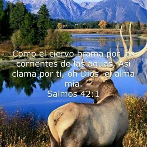 Salmos 421 Faith In God Bible True Life