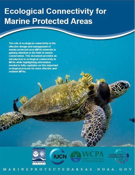 Sharks And Marine Protected Areas Shark Stewards