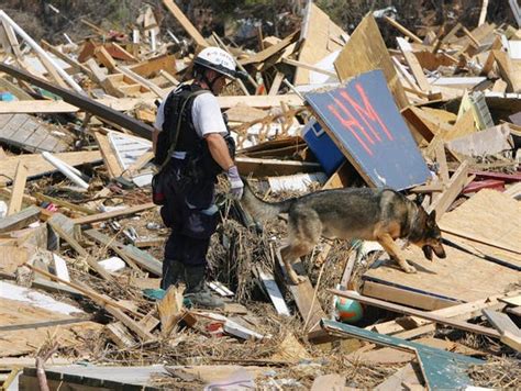 Timeline Hurricane Katrina And The Aftermath