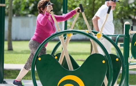 Playgrounds For Adults The Dirty Dozen Of Fun