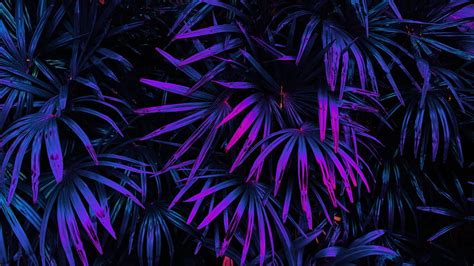 3840x2160px 4k Free Download Glow Tropical Leaves Forest In Dark
