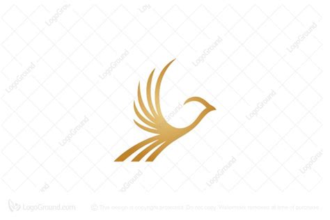 Golden Bird Logo