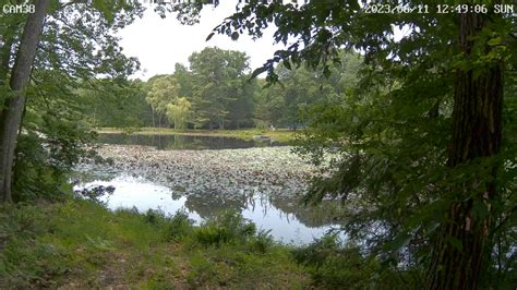 Webcam Averill Park New York Willow Pond