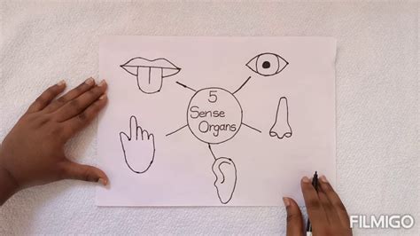 How To Draw The Five Senses Handartdrawingsketchesdesignreference