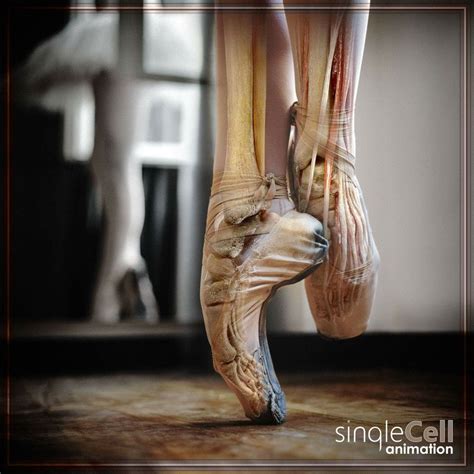 Pin By Sarah Gagnebin On Deathafterlife Course Ballet Shoes