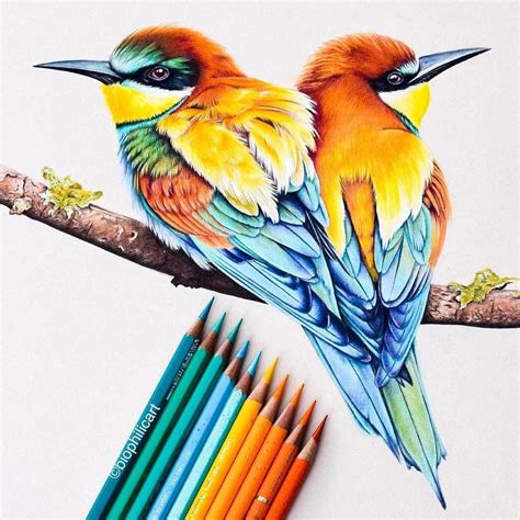 Animals Drawing Pictures In Colour