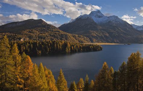 Wallpaper Autumn Forest Trees Mountains Lake Switzerland Alps