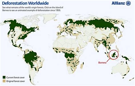 Deforestation Around The World Map United States Map