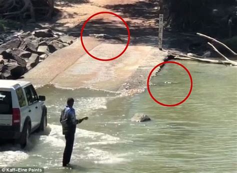 Terrifying Moment Man Risks His Life By Fishing Just Metres From Enormous Crocodiles Express