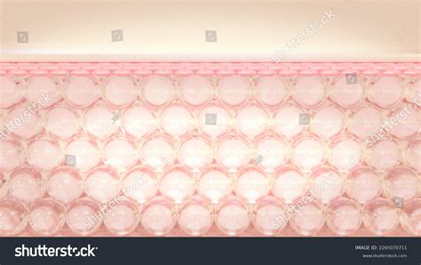 3d Rendering Layers Skins Microstructure Cosmetics Stock Illustration