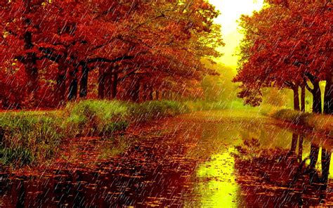 Ideas For Nature Rainy Day Wallpaper Images