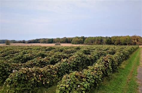 45 acres in Erie County, New York