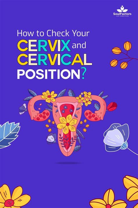 How To Check Your Cervix And Cervical Position Cervix Cervical