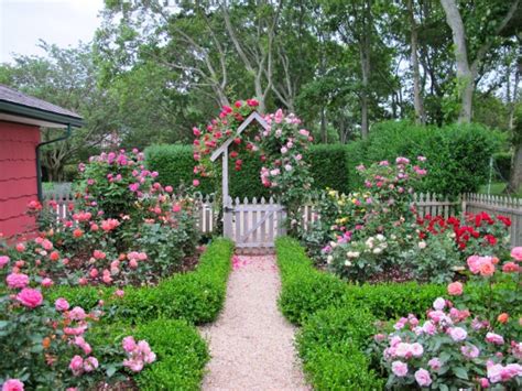 11 Beautiful Rose Garden Designs For Small Yard