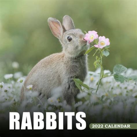 Rabbits Calendar 2022 Monthly Square Calendar 2022 Mini Planner 16