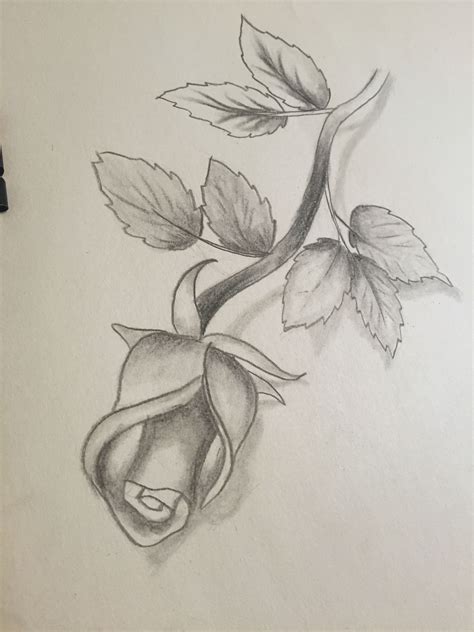 Arte A Lápiz Art Drawings Sketches Flower Drawing Roses Drawing
