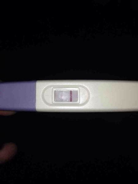 Freedom Pregnancy Test Positive Result Pregnancy Test